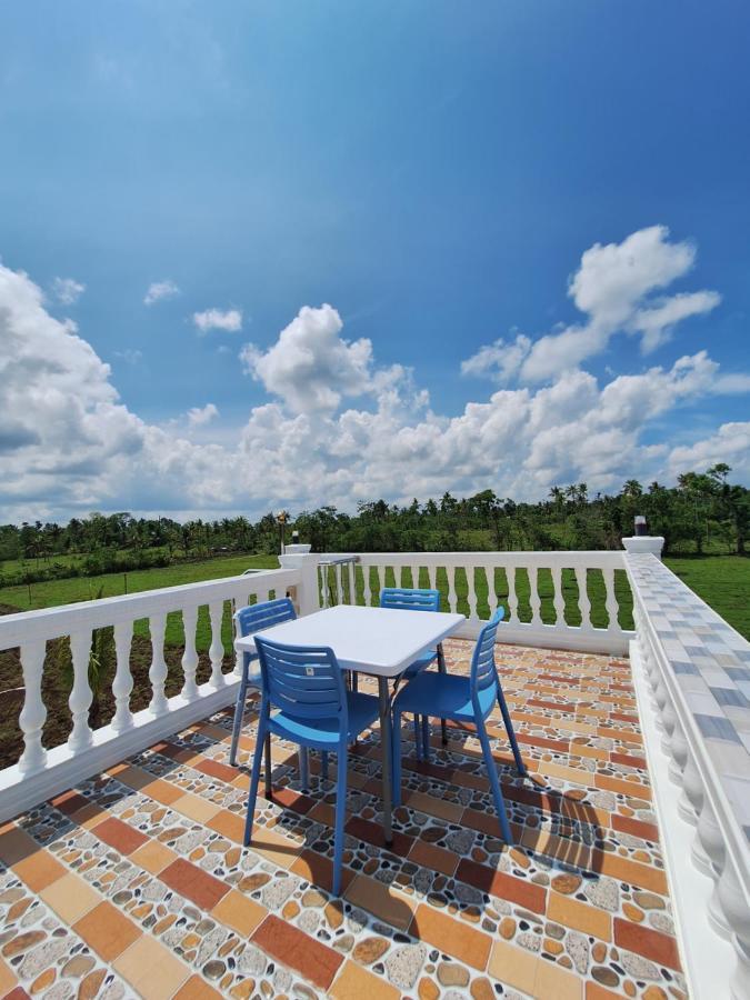 Joe'S Castle Bed & Breakfast Sagbayan Bagian luar foto